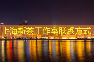 上海新茶网：开启电竞梦想！上海电竞学院正式成立，助力年轻人赢取荣耀！