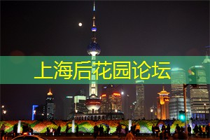 上海花千坊：现代爱情观下的相亲角：年轻人的选择