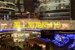 上海新茶资源：刘海