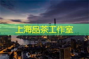 爱上海官网：上海论坛开幕在即：瞩目城市发展，探讨解决之道！