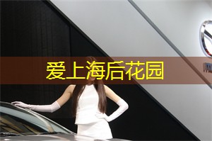 爱上海：上海交友活动