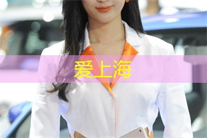 爱上海官网：探秘上海的地下音乐文化